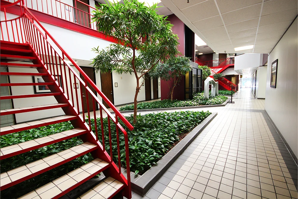 16903 Red Oak Drive Floor One for Rent